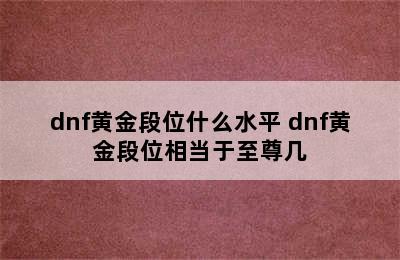 dnf黄金段位什么水平 dnf黄金段位相当于至尊几